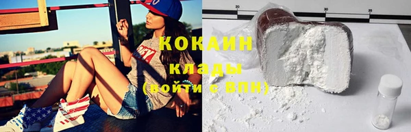 трава Коряжма
