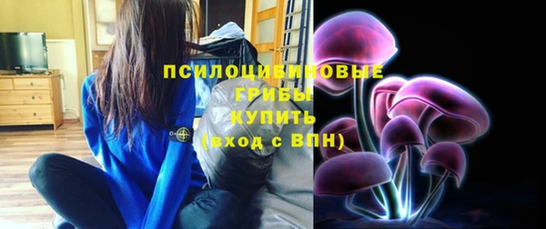 трава Коряжма