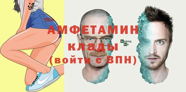 трава Коряжма