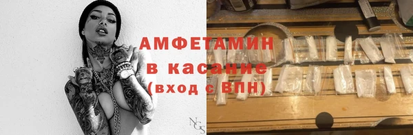 трава Коряжма