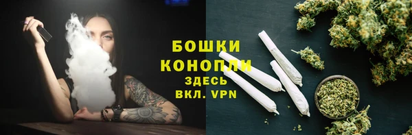 трава Коряжма