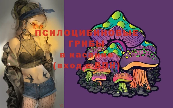 дурь Костерёво