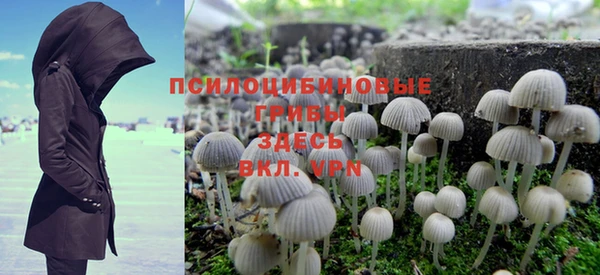 дурь Костерёво