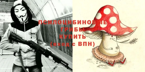 дурь Костерёво