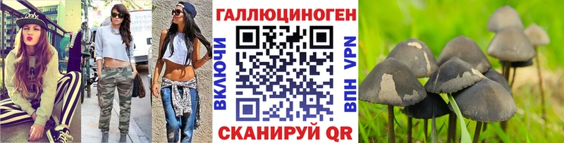 Купить  Мезень  Псилоцибиновые грибы мухоморы 